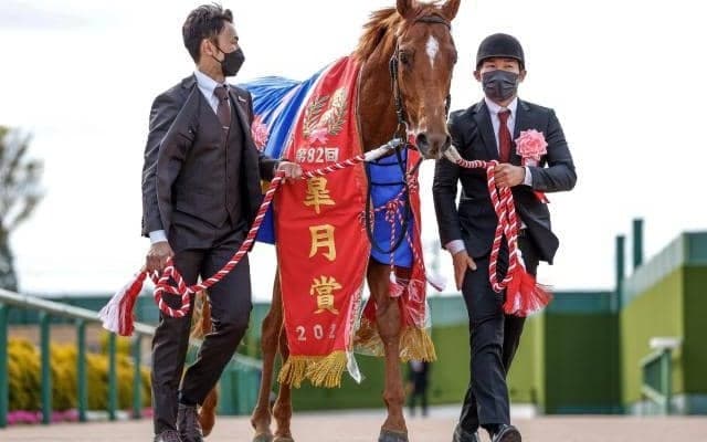 香港カップに日本馬33頭が登録 皐月賞馬、ドバイターフ覇者、一昨年の2歳王者など