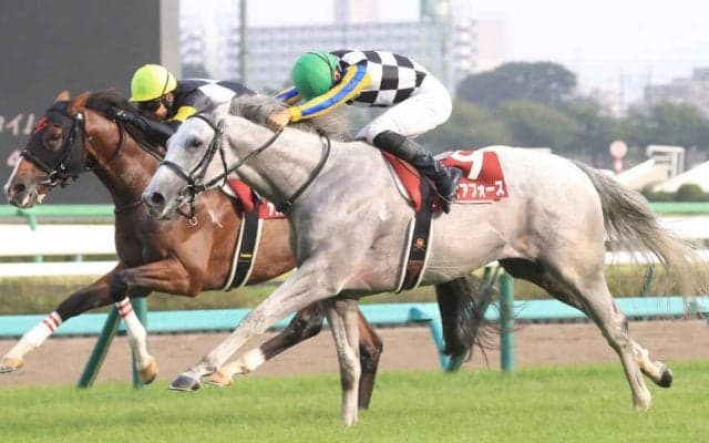 【菊花賞】ガイアフォースは1枠1番へ