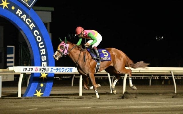 【エーデルワイス賞】小沢騎乗 マルカラピッドが豪快な差し切り