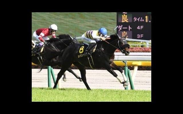 主役不在の菊花賞。穴党記者が推すのは相当な変わり身が期待できるダービー出走馬２頭