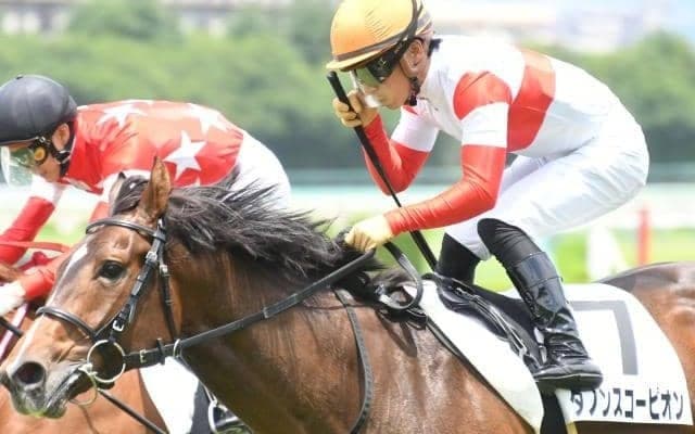 【富士S枠順確定】ダノンスコーピオンは7枠14番、セリフォスは5枠10番