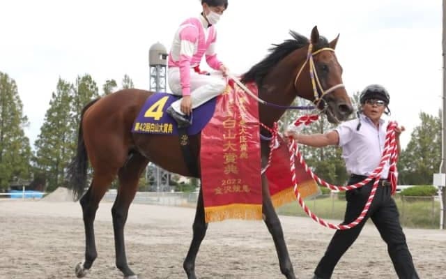 交流重賞2勝馬がJBCクラシックを見送り 注目3歳馬に繰り上がりの可能性