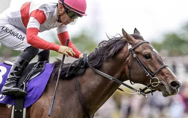 【富士S予想】3歳馬が「中心的存在」も…。GI前哨戦で実績馬には注意が必要