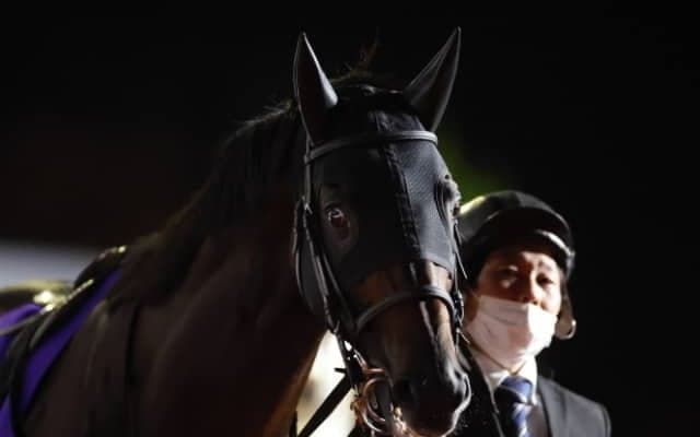 昨年の武蔵野S覇者が跛行のため放牧へ 秋白紙で連覇挑戦見送り