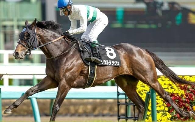 【富士S予想】マイルCSや香港マイルを見据えた一戦 春に重賞初制覇を果たした上がり馬に期待