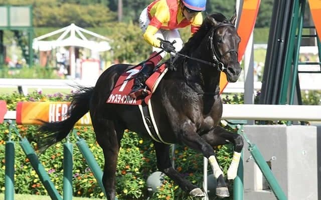 【菊花賞予想】前走人気が能力の指標!? 鵜呑みにできない圧巻の競馬
