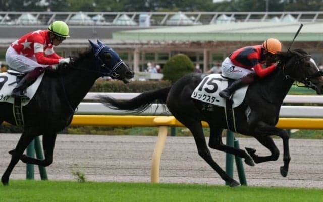 【新馬/東京3R】エピファネイア産駒 リックスターがデビューV