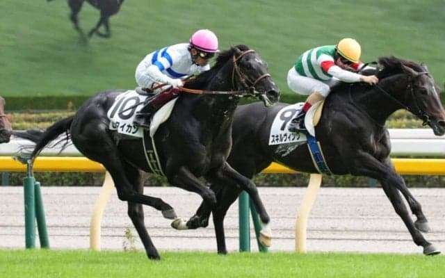 【新馬/東京5R】良血ヒシタイカンがデビューV