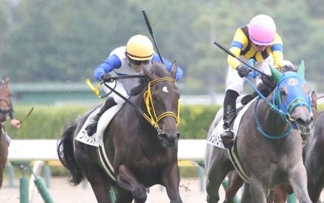 【新馬/新潟5R】エピファネイア産駒 フィレットがデビューV