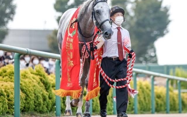 【菊花賞前日オッズ】ガイアフォースが3.6倍で1番人気、アスクビクターモアが続く