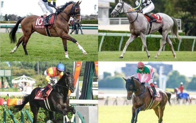 大混戦模様の菊花賞 競馬ファン3万5000人が予想した勝ち馬は？
