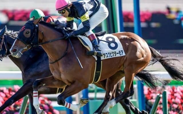 【今日の注目ポイント】阪神でクラシック最終戦・菊花賞