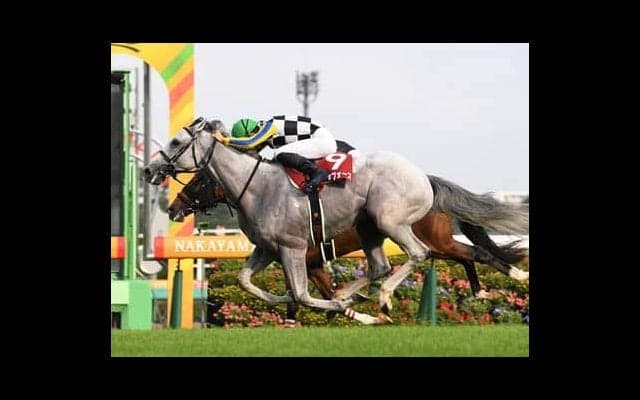 菊花賞は露骨なサインを匂わせているＧＩヘッドラインからあぶり出した３頭を狙え