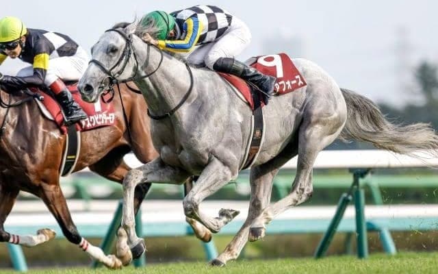 【菊花賞予想】底力問われる3000mの舞台 遅れてきたクラシック候補の悲願達成なるか