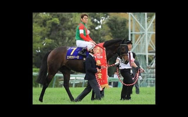 皐月賞馬エポカドーロの弟、ジャスティンレオンは「大型で筋肉質。兄とは違うタイプ」