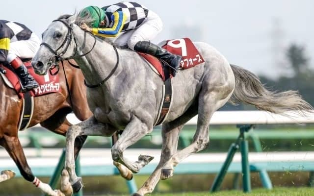【菊花賞予想】上位人気3頭は揃って消えることはない？ 3着に食い込む人気薄の前走共通点とは？
