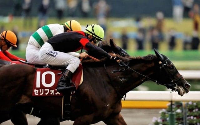 【富士S】3歳馬セリフォスが古馬を一蹴