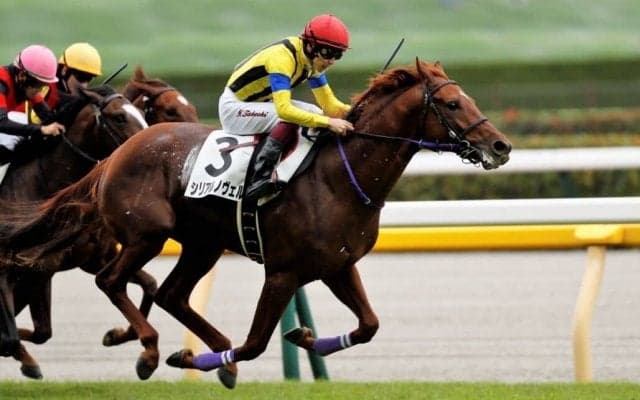 【新馬/東京5R】ノヴェリスト産駒 シリアルノヴェルが波乱を演出