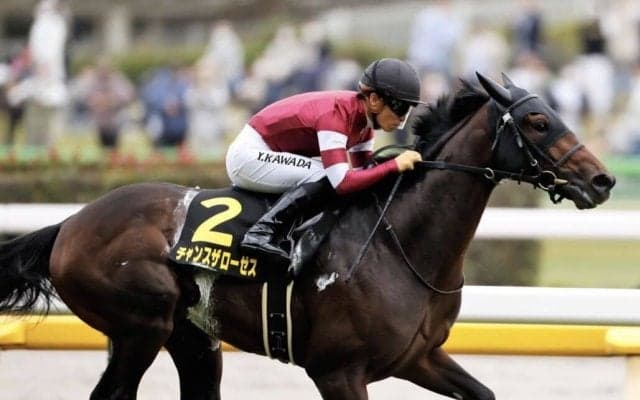 【アイビーS】チャンスザローゼスが鮮やかな逃げ切り