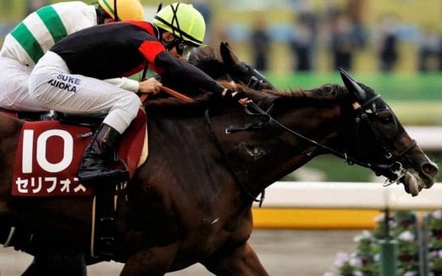 【富士S】藤岡佑「G1馬になる資格のある馬」セリフォスが人気に応える