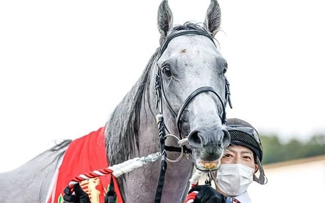 【菊花賞・馬体重】ガイアフォースは494kg(-4)、アスクビクターモアは476kg(0)