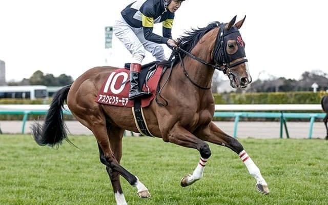 【菊花賞】アスクビクターモアが横綱相撲で押し切りV！ディープ産駒はクラシック歴代最多24勝目