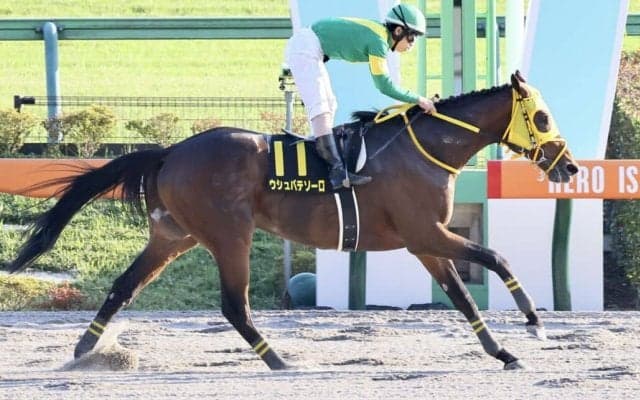 【ブラジルC】ウシュバテソーロが人気に応える