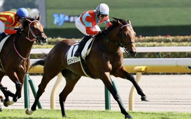 【新馬/東京5R】ガストリックが最後方から鮮やかな差し切りV