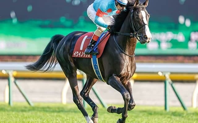 【天皇賞・秋見どころ】ダービー2着馬イクイノックスによる古馬撃破なるか