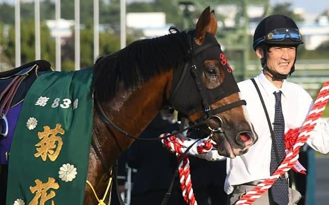【菊花賞】売上は183億8223万2400円で昨年から約8億円の増加