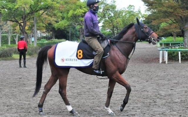 世界的良血のアイリッシュパールがデビュー 近親には海外G1勝ち馬が多数/関東馬メイクデビュー情報