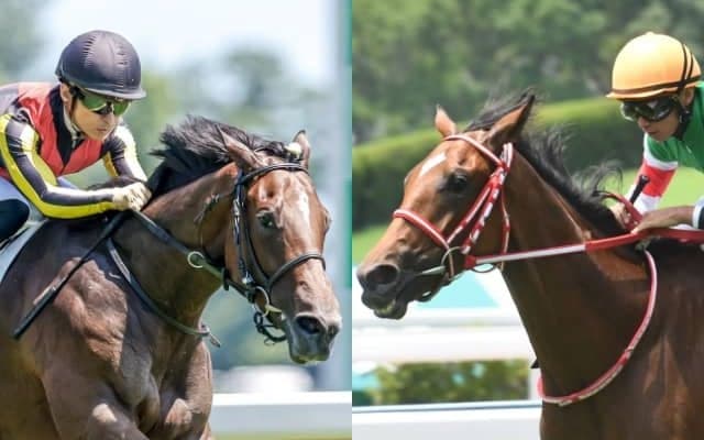 凱旋門賞馬の孫やオーストラリアの女傑の仔など アルテミスSの注目良血馬を紹介