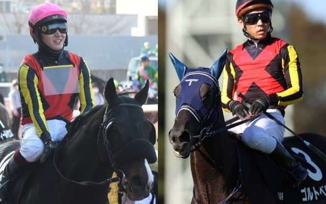 9歳でOPした実績馬やエアグルーヴを祖母に持つ良血馬、今年の小倉ジャンプS2着馬らがJRA登録を抹消