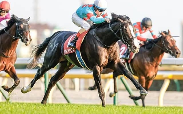 【天皇賞・秋想定騎手】イクイノックスはC.ルメール騎手、ジャックドールは藤岡佑介騎手