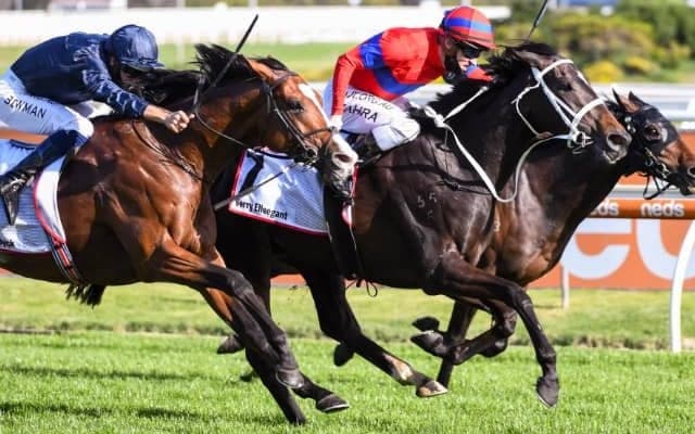 G1・11勝の名牝が現役引退 芝1400mから3200mまで幅広い距離で大レースを勝利