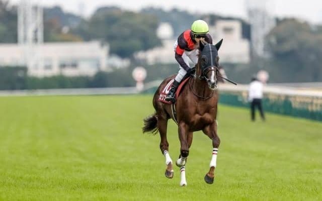 まだ伸びしろを感じるダイワメジャー産駒 追い比べを制し1年ぶりの重賞制覇