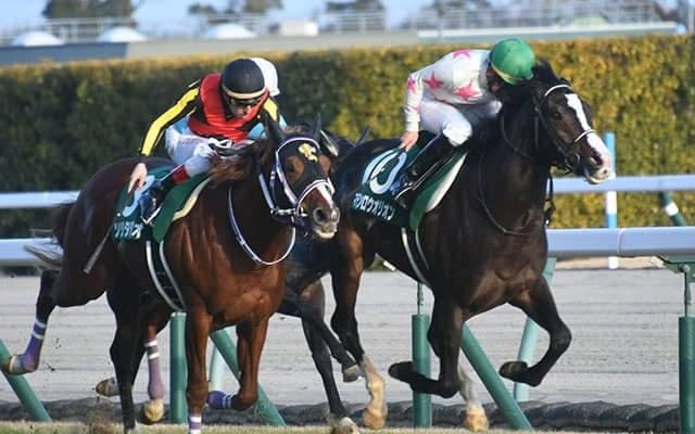 【スワンS想定騎手】マテンロウオリオンは横山典弘騎手、ホウオウアマゾンはC.デムーロ騎手