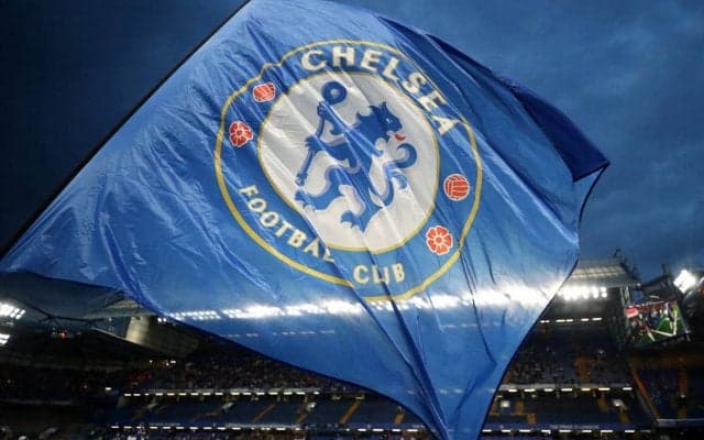 「これは可愛い」「世界一だ」チェルシーにとっては幸運？それとも不運？ CL前夜のスタジアムに迷い猫