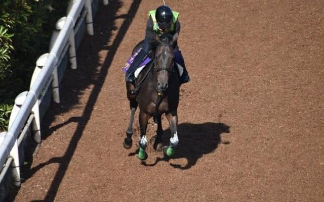 デアリングタクトなど、先週の入厩情報/栗東トレセンニュース