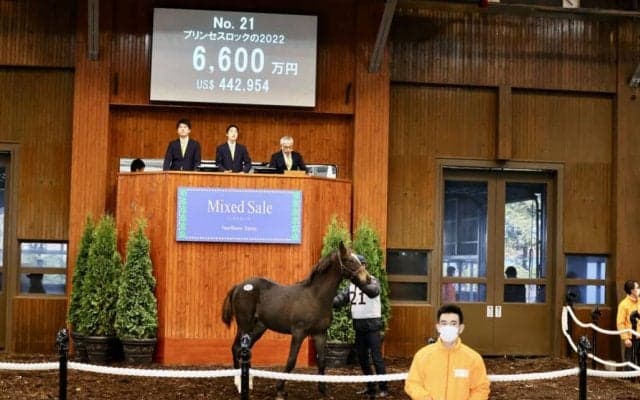 ブトンドール半弟が6600万円で落札