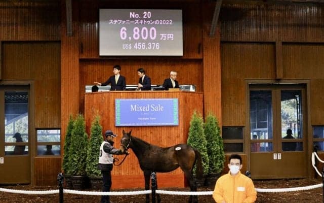 母は米G1・5勝 ステファニーズキトゥンの2022が6800万円で落札