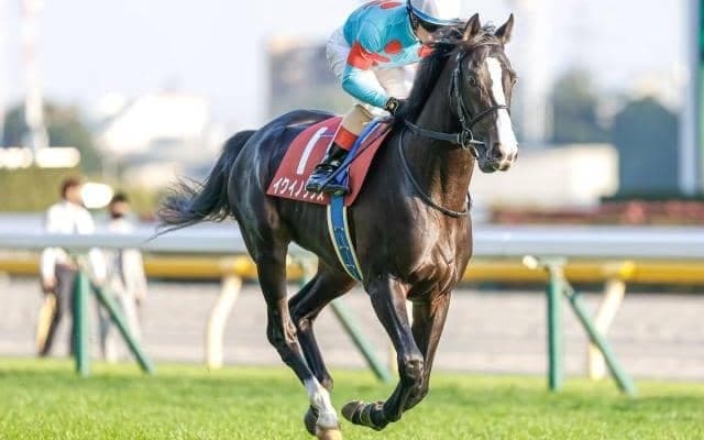 【天皇賞・秋予想オッズ】イクイノックスが予想1番人気