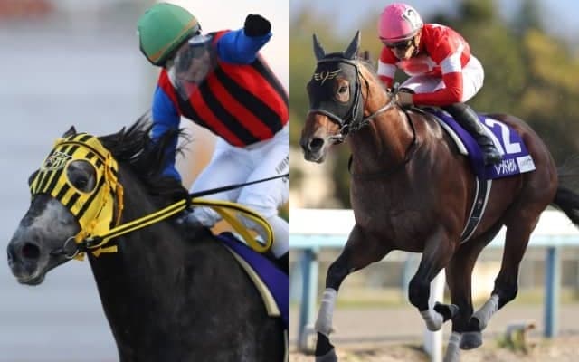 「地方競馬の祭典」JBCデーはBSフジとYouTubeで生中継 11月3日16時から