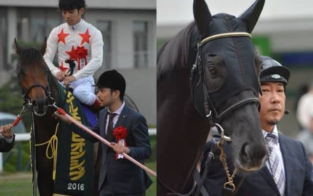 20年前に世界記録を樹立 欧州の誇る『最強マイラー』が永眠