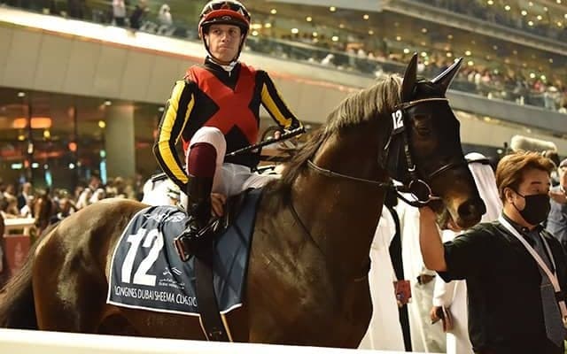 海外G1制覇のダービー馬が最高評価獲得 天皇賞・秋登録馬のプレレーティング一覧