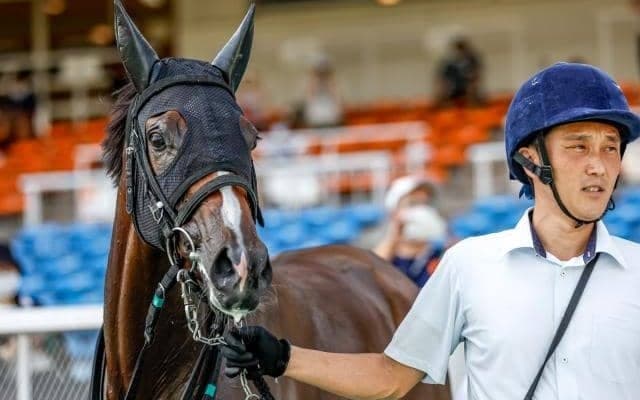 【アルテミスS展望】2歳牝馬の出世レース、差し追い込みが決まりやすい