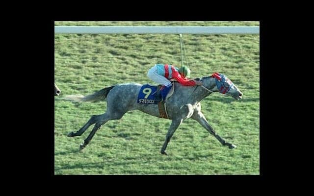 ウマ娘でも闘争心全開で走り抜けるタマモクロス。天皇賞・秋は語り継がれるべき「芦毛の名勝負」だった