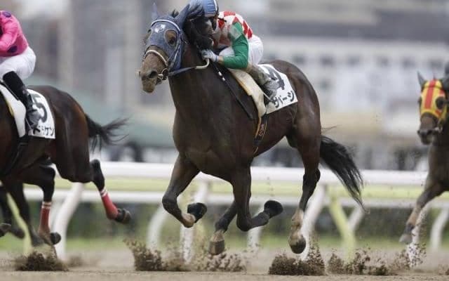 ビッグレースへの登竜門 無敗の重賞馬誕生なるか/船橋・平和賞注目馬
