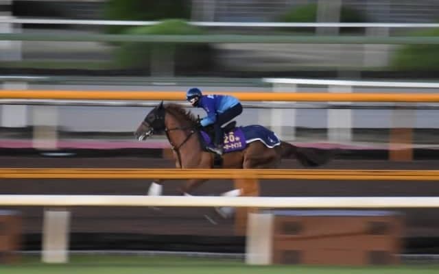 テーオーケインズ、JBCクラシック追い切り速報/栗東トレセンニュース