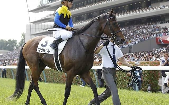 総賞金6億円超え！ダービー馬マカヒキの長きにわたる活躍をプレイバック